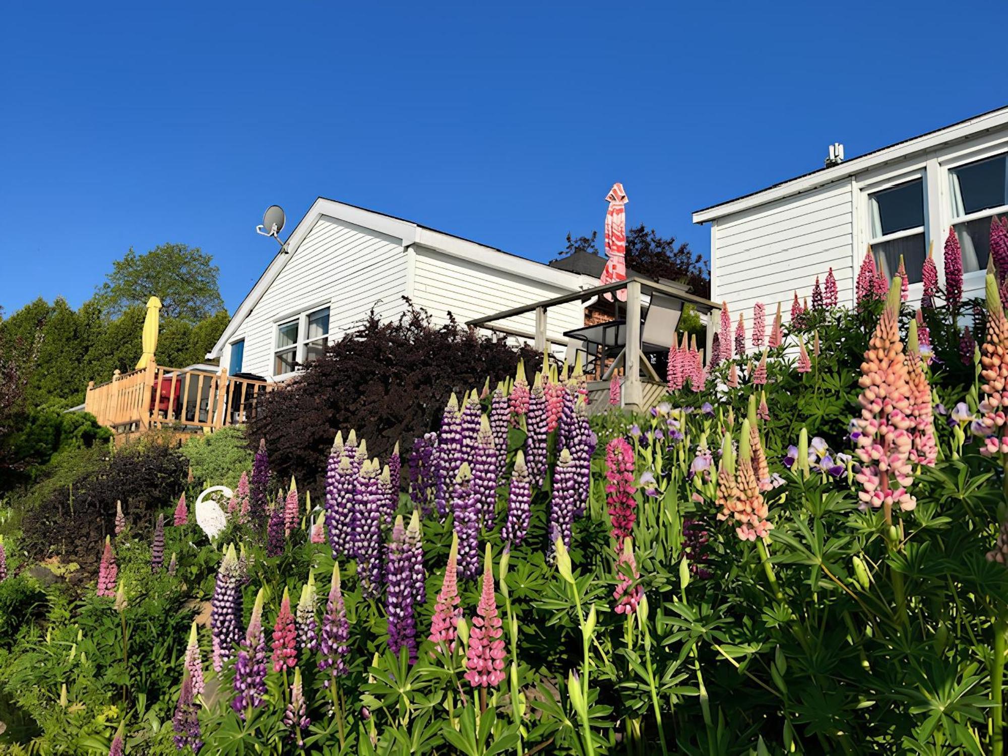 Dewar'S Inn And Cottages Prescott Kültér fotó